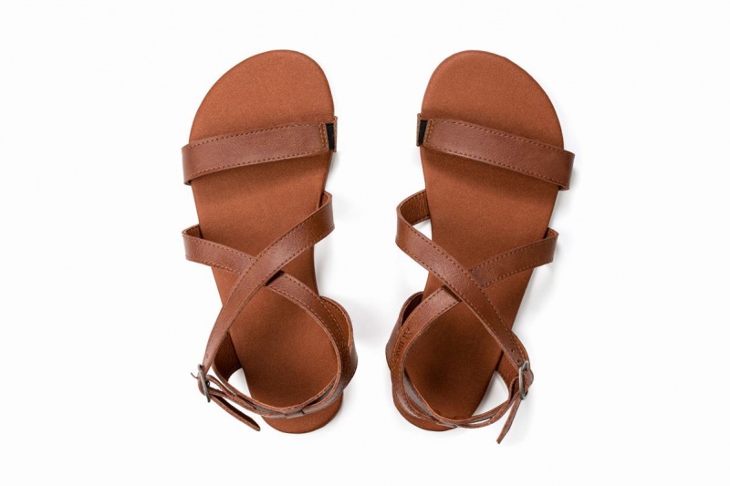 Brown Ahinsa Hava Barefoot Women's Sandals | IPM3460SL